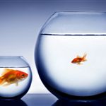 Raccourcissez vos URL dans Orangium, et non avec des services externes (bit.ly, tiny.url, etc.)